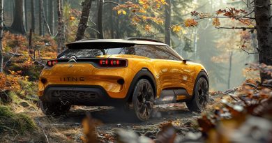 Compartilhando Histórias: Citroen E A Comunidade Ao Redor Do Mundo
