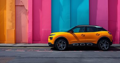Além Do Produto: Citroen E Sua Contribuição à Comunidade