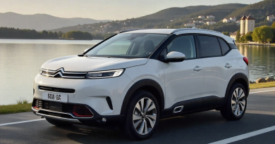 Citroën E Parcerias Estratégicas Com Outras Montadoras